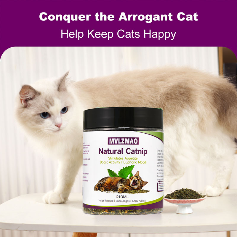 Cat Toys - Silvervine Catnip f - Herbal Wellness Supplement review and price