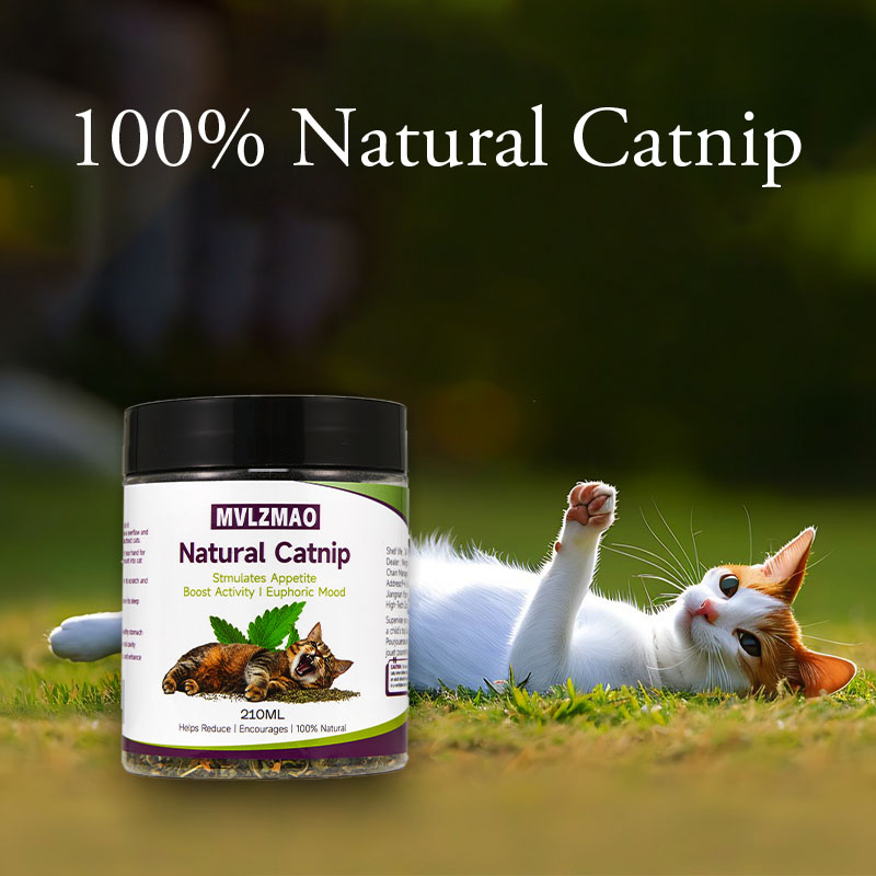 Cat Toys - Silvervine Catnip f - Herbal Wellness Supplement review and price