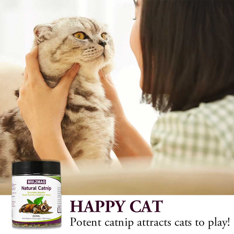 Cat Toys - Silvervine Catnip f - Herbal Wellness Supplement review and price